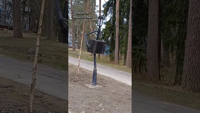 Семейная прогулка.  красивые моменты #семейныевлоги #семейныйканал #моменты