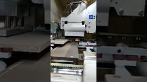 Сверлильно присадочный станок с ЧПУ SCM Startech CN
