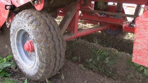 UNIA BOLKO II: sklizeň brambor – pokusná ekologická plocha / John Deere 5070 M, Zetor 8111