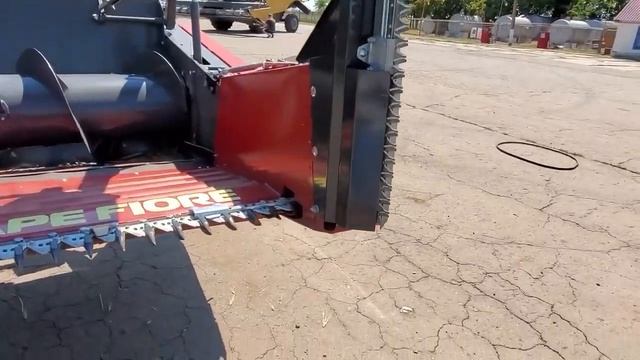 Рапсовый стол для  AGCO7125 MF7370