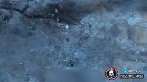 🔴Два бойца ВСУ подорвались на мине ПФМ-1 «Лепесток»🔴