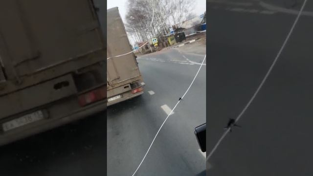 Обочичники