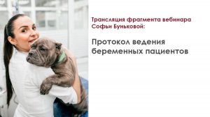 Трансляция фрагмента интенсива Софьи Буньковой: “Протокол ведения беременных пациентов”