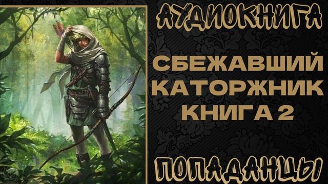 АУДИОКНИГА ПОПАДАНЦЫ: СБЕЖАВШИЙ КАТОРЖНИК. КНИГА 2 смотреть онлайн
