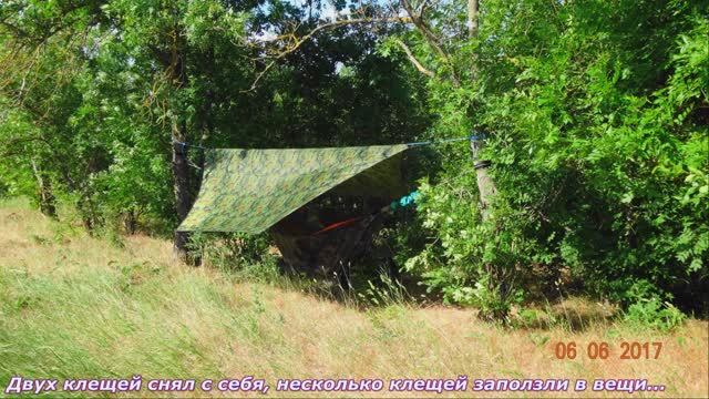 №499. СЛАЙД-ШОУ 3-й день