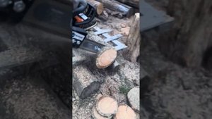 Бензопила Holzfforma G180. Перший запуск