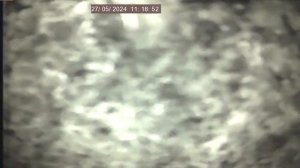 Горизонтальная камера.. Курская обл Саламандры  в  скважине