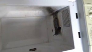 Искрит микроволновка прогорел колпачок колхозим из подручных материалов
