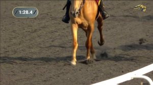 3-я Скачка. Приз «Аргамак». КАЗАНСКИЙ ИППОДРОМ 21 ИЮНЯ 2024