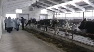 Верх Ирмень 240 лет