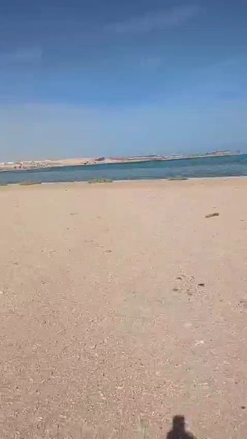 Египет , Шарм-эль-шейх , дикий ,заброшенный пляж . смотреть онлайн