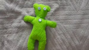 СЕКРЕТНАЯ КНИГА И МЕДВЕДЬ ТИМОН