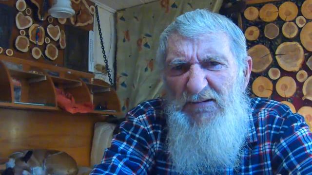 Анализирую прогулки с Дусей