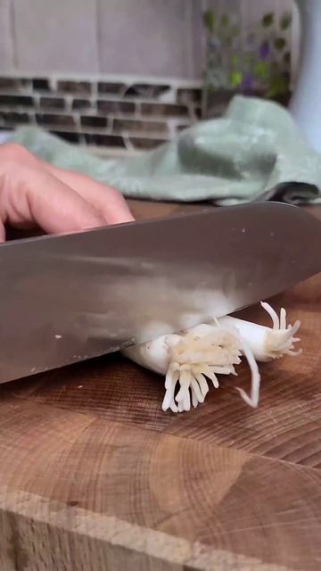 My Mediterranean Morning Meal Delight | Frittata #shorts #eggs #frittata смотреть онлайн