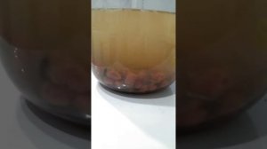 Натуральный витамин для голубей