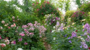 САДЫ ЯПОНИИ  Прекрасный сад Le Jardin Secret 2020 в САЙТАМЕ, сад госпожи Марико Хонды