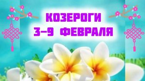 КОЗЕРОГИ. Неделя 3-9 февраля.