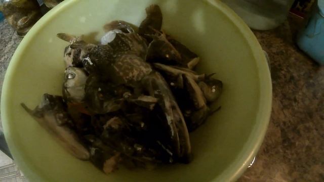 Уха по-царски!!Не стыдно будет угостить гостей!!Вкусный и наваристый суп!