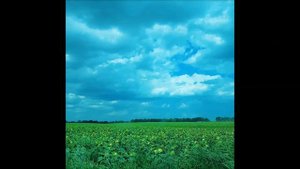 Ой, не шуми, луже. Володимир Чібісов Volodymyr Chibisov