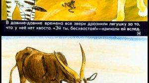 Диафильм. Почему лягушка без хвоста. Жаба и обезьяна. 1982