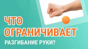 Что ограничивает разгибание руки в локтевом суставе?