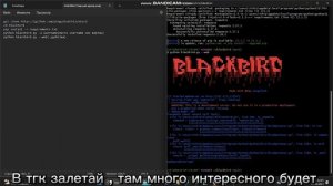 Blackbird | By punching by nickname | Чёрный дрозд | пробив по Нику | Подробный гайд установки .