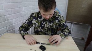 Обзор радиоуправляемой гигантской мухи - собираем, запускаем.