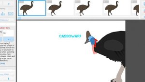 vorombe titan Vs Cassowary