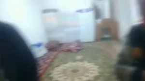 Боз як зани шавхардоро дар зино дастгир карданд .#Зино 2022!