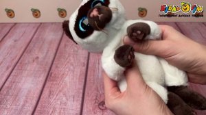 Игрушка мягкая Кошка сиамская Мисо 15см