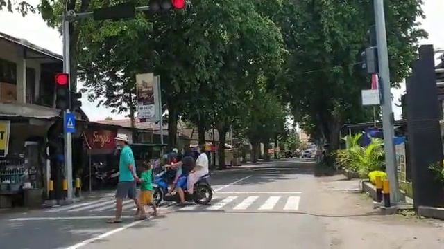 terra pelican crossing dandangan 4 смотреть онлайн