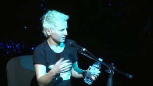 Сурганова   Бабочка