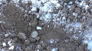 Коп на "Поле Чудес" 3.