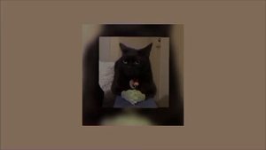 Valera Ghoster - Black Kitty Big City😼 (но это 1 час)