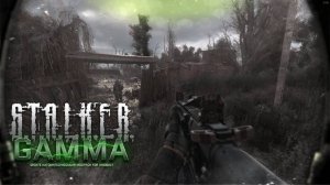 Сталкер Аномали Гамма\Stalker Anomaly Gamma №24Сюжет Учёные-уничтожение "Греха"