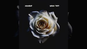 Asanrap  Шома тигр * ТЫ чо дура плачешь* Азамат айталиев* Стрим