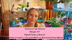 Болталка про Фиалки! Выпуск 55: Период Покоя у Фиалки! Зачем он нужен и как ухаживать за фиалочкой!