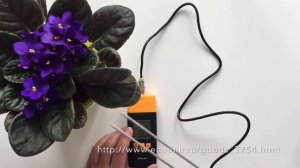 Универсальный влагомер Amtast AMF-038