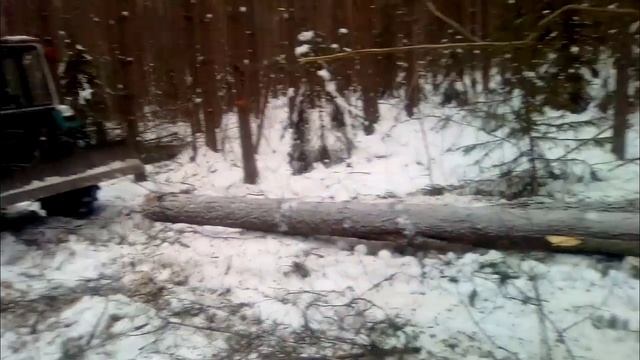 юмз 4х4 трелевка леса