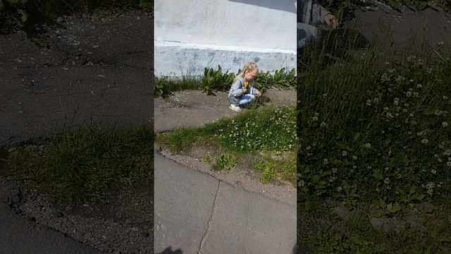 Лето прошло... как жаль
