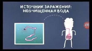 боб заболел