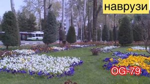 Рустам Азими Наврузи 2020