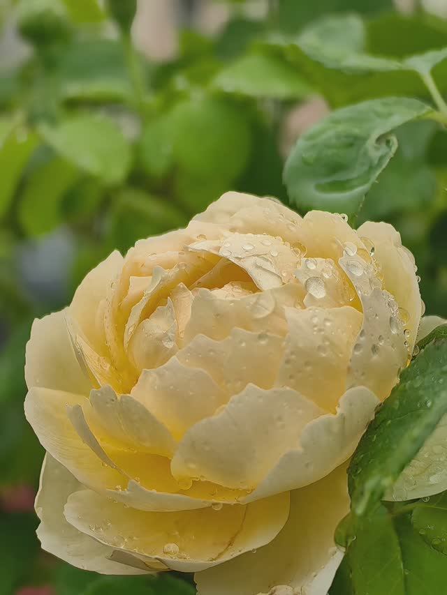 Есть что-то прекрасное в лете... смотреть онлайн