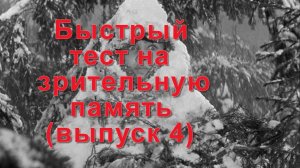 Тест на зрительную память (выпуск4)