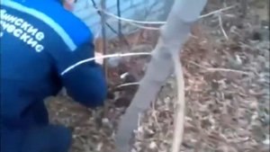 Добрые люди спасают собаку. Спасение собаки.