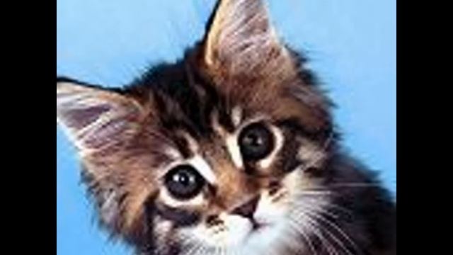 ценители природы