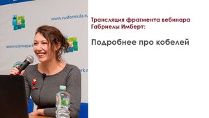 Трансляция фрагмента вебинара Габриелы Имберт по репродукции: "Подробнее про кобелей"