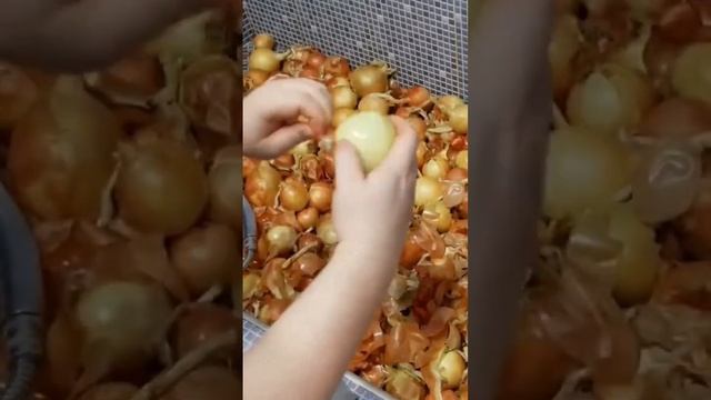 ОЧИЩАЮ ЛУК ДЛЯ САМОГОНА смотреть онлайн