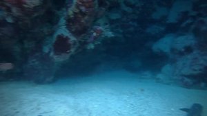 Aurora Oriental Bay @ArkadiuszBeDive