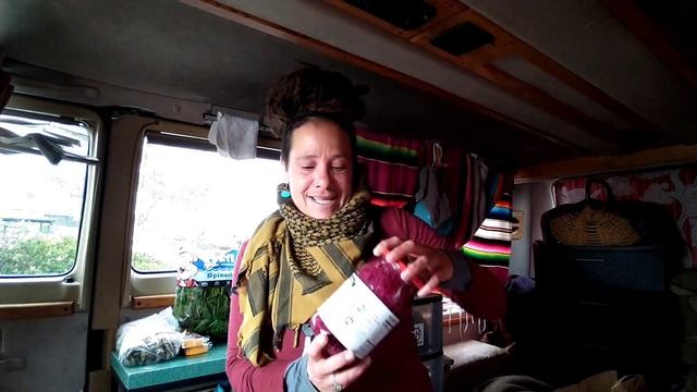 Frugal Shopping LIVING IN A VAN / Food Preps / Fun Local Ads